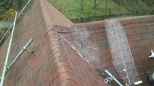 群馬県　前橋市　住宅塗装　屋根洗浄