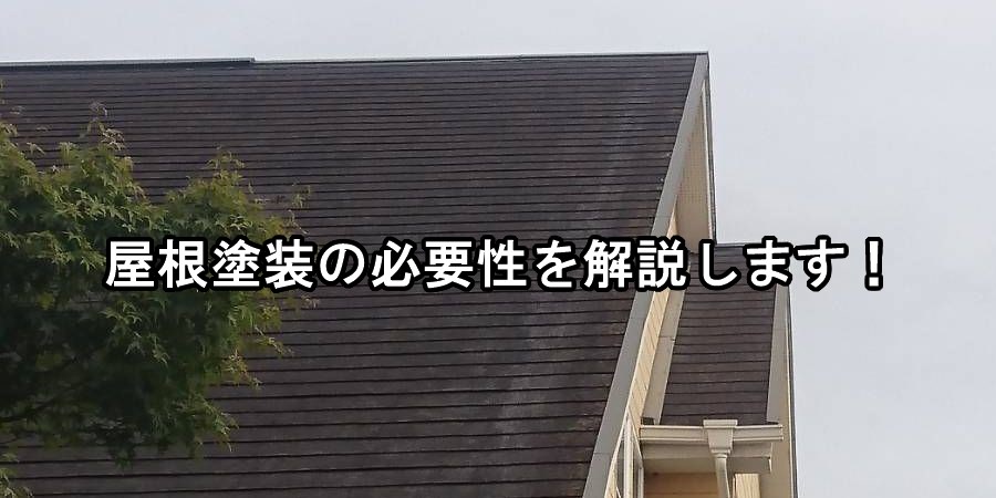 屋根塗装の必要性
